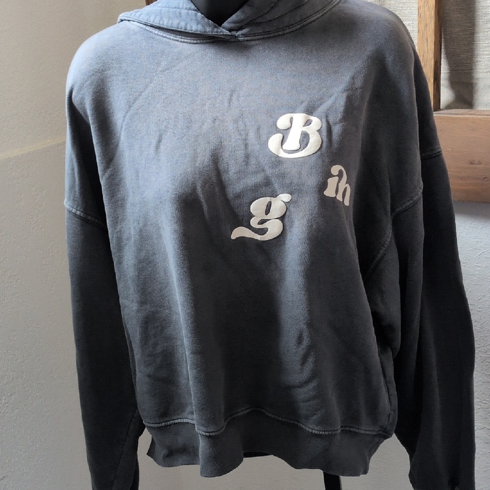 🍋✨ Anine Bing Alec Vintage Wash Hoodie In Gray Size S - Picture 3 of 7